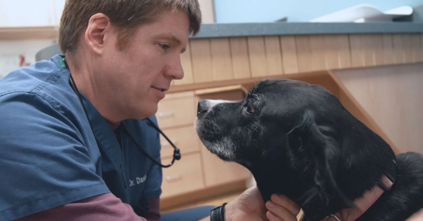 Providing individualized pet health care for your senior pet